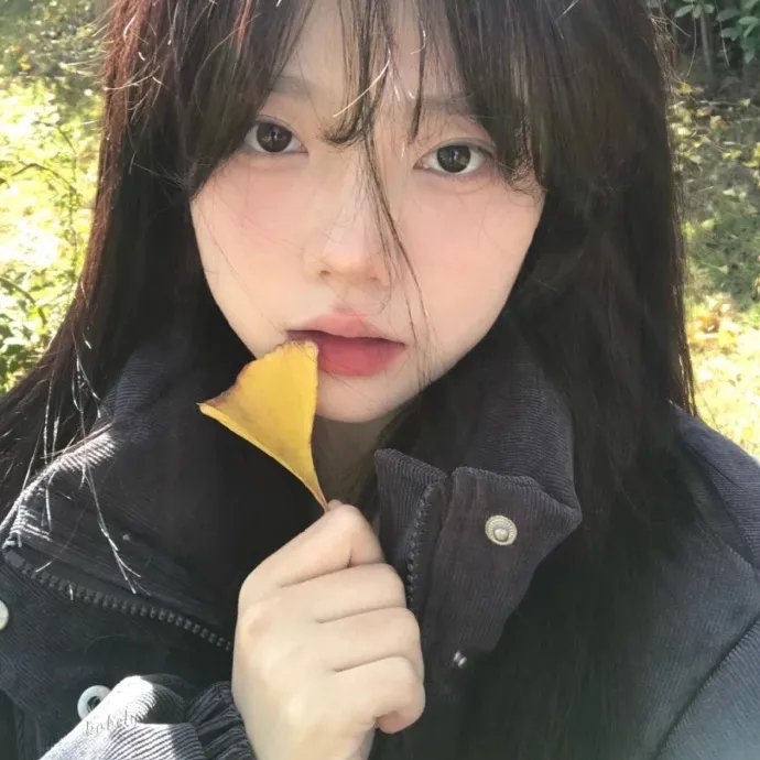 出走的决心